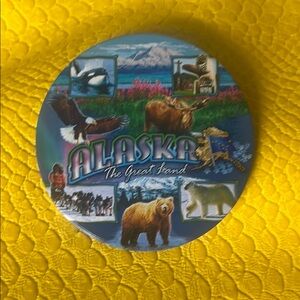 💐2/$10💐Alaska Themed Decorative magnet